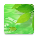 3d leaves live wallpaper android application logo